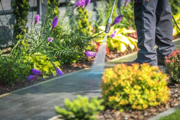 Best Parking Lot and Garage Cleaning  in Central Falls, RI